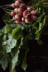 2019斯诺克世锦赛决赛巅峰对决直播全纪录