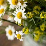 2025005期双色球开奖结果最新公布 13bbx