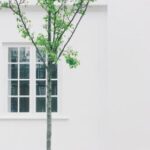 2019年斯诺克世锦赛决赛全程高清直播 2mwlb92h