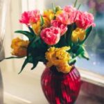 3d直选开奖最新结果查询与历史开奖数据分析 bf2cxm