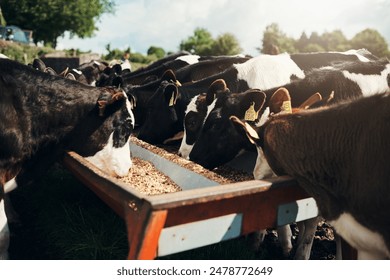 2025009期双色球开奖号码结果正式公布