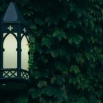 2025007期最新开奖结果查询与中奖号码公布 i1yjquuu