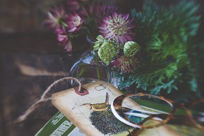 2018年252期3D开奖结果正式公布