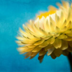 3d试机号与开奖号历史数据对比分析及趋势研究 q1df7ozdp