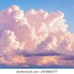 201期3D开奖号码完整回顾与详细结果汇总 wbgohl