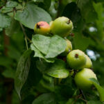 2025003期双色球开奖号码结果正式公布 x5ee4084z