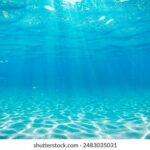 2025016期开奖结果查询与中奖号码公布 x5x37lr