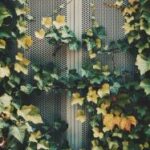 2025004期彩票开奖结果查询与中奖号码公布 z4w5rkcqj2